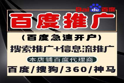 某行业SEM竞价专员的成功策略与经典案例